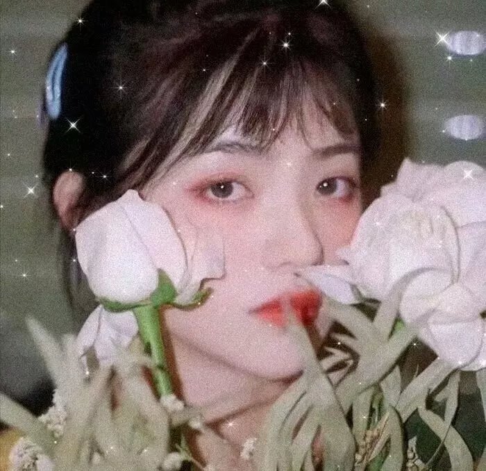 小狗就是小狗
